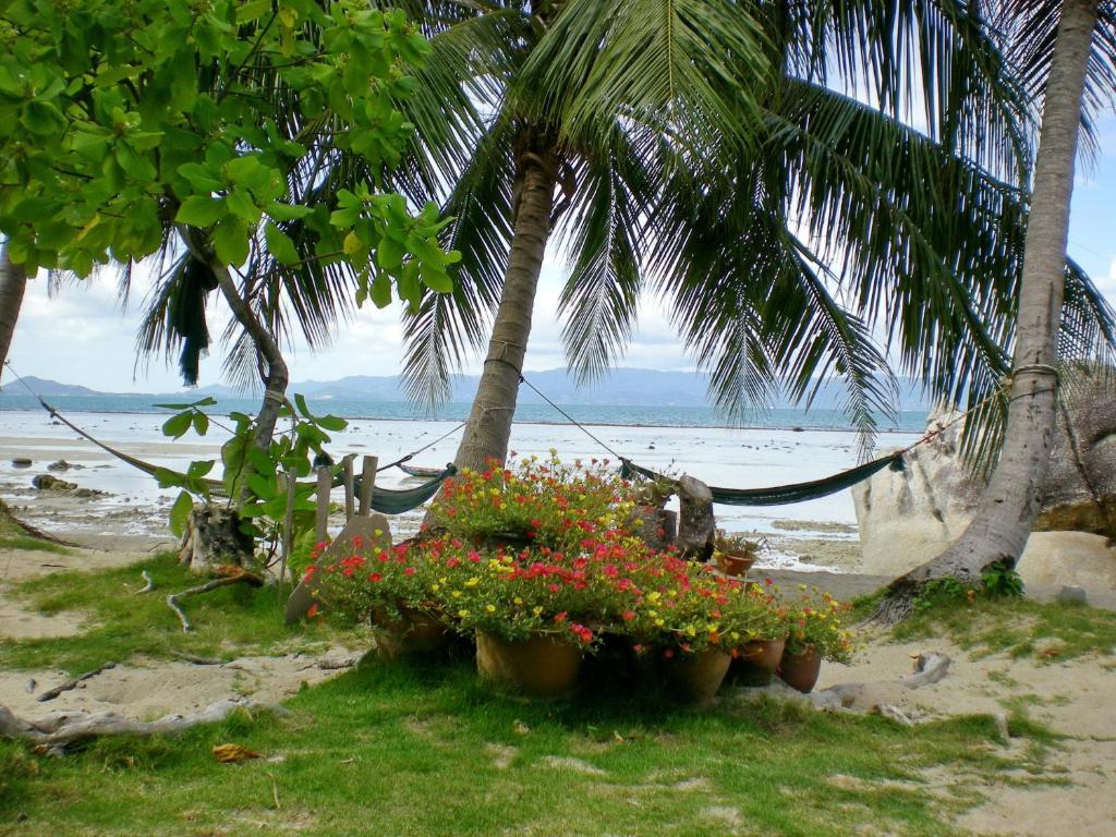 Thong Yang Bungalow Ko Pha Ngan Exterior photo